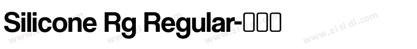 Silicone Rg Regular字体转换